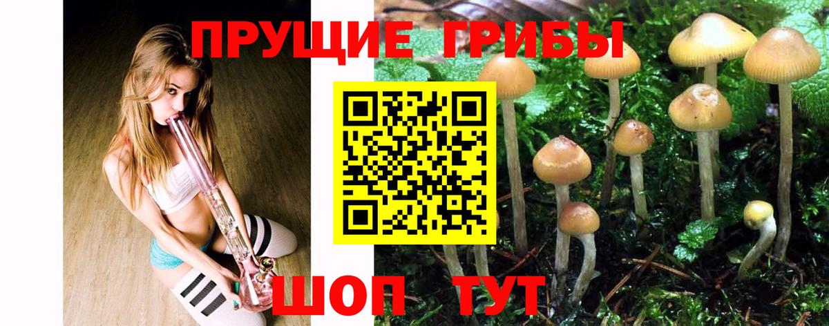 Армавир  Псилоцибиновые грибы MAGIC MUSHROOMS  Вход с VPN 